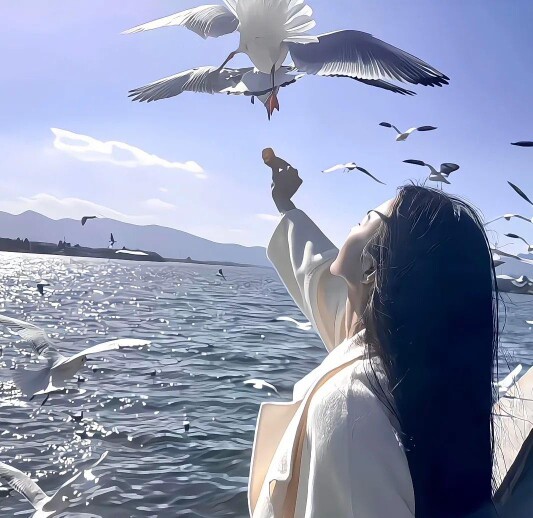 悦梦美装