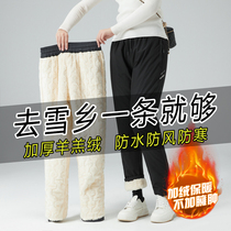 Northeastern Harbin tourist skiing plus velvet thickened warm equipment men and women windproof and waterproof charging pants mountaineering cotton pants