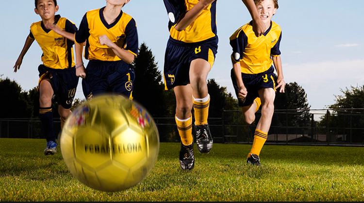 Ballon de football - Ref 5446 Image 7