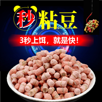 Animal husbandry and fishing children bait particles Second sticky bean particles dip Ma Tuan small yellow surface black pit loose cannon carp bait Wild crucian carp bait