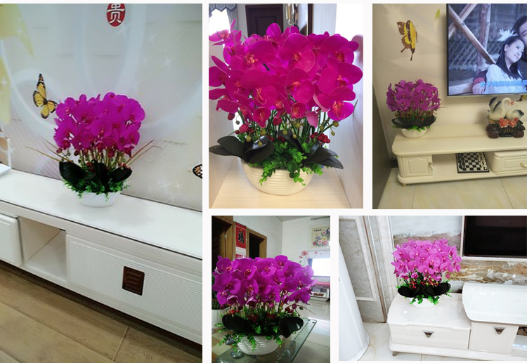 Trang trí trang trí mô phỏng PU Phalaenopsis chậu phụ kiện nhà phòng khách TV tủ hoa giả cây xanh trang trí hoa - Trang trí nội thất trang trí nội thất