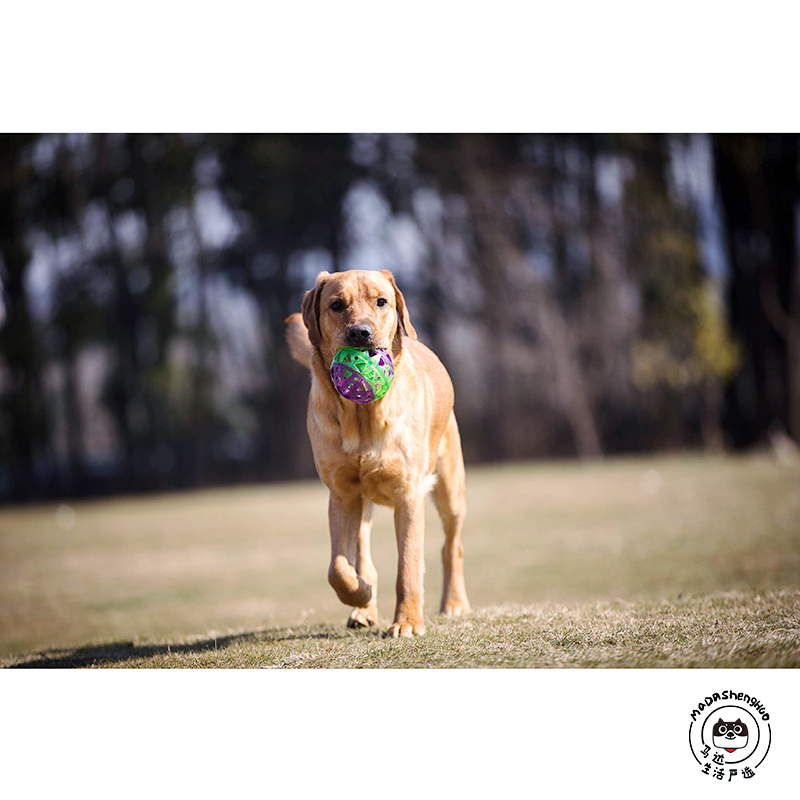 orchidpets Aokai pet luminous bite-resistant space ball wear-resistant pressure-resistant gram floating interactive toy