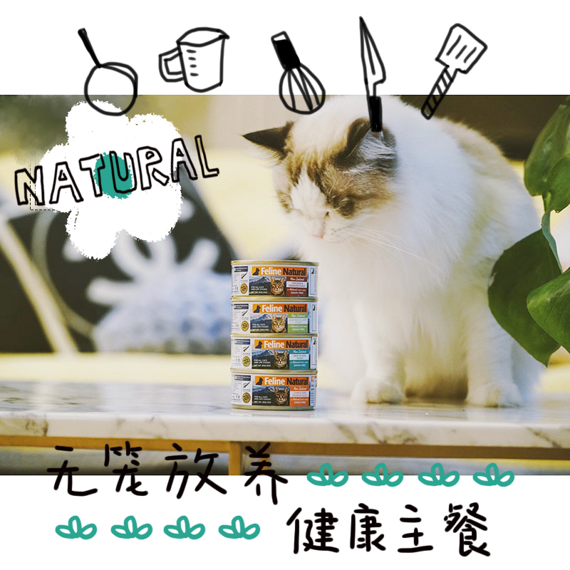 Lala's Staple Can New Zealand K9 Natural Natural Grain Free Whole Cat Canned 85g 170g Chicken Venison