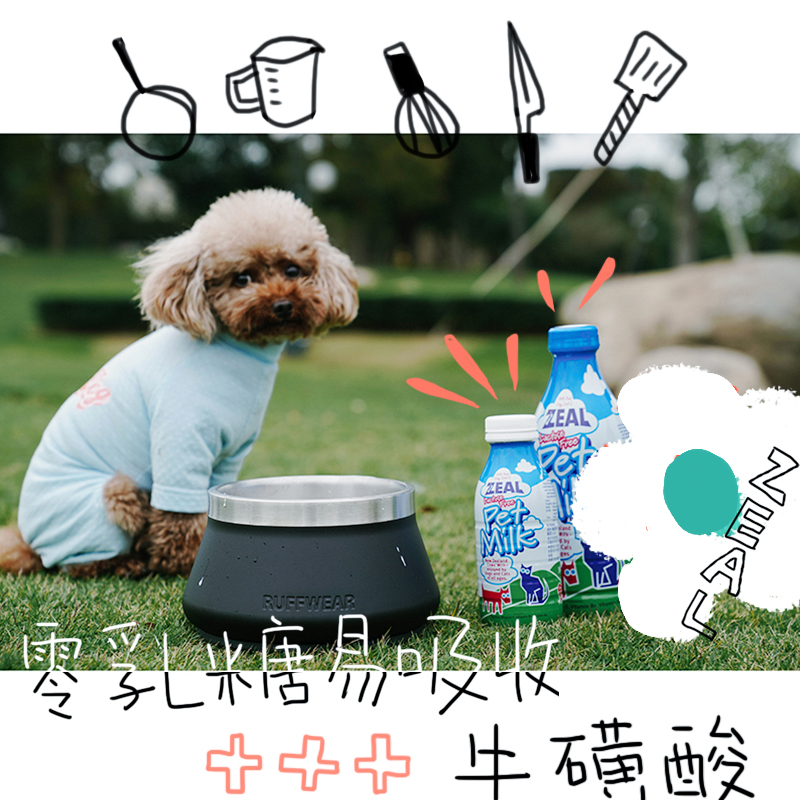 zeal dog cat special fresh cow's milk dog natural snacks pet kitty dog milk 380ml 1L