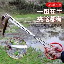 Stainless steel yellow eel clips eel fish clip Nip Clay pliers Anti-slip anti-remove and catch a special tool to catch the sea deity