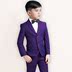 2019 trẻ em mới Suit Suit trai Suit Coat Flower Kids ăn mặc Boy bé Piano Performance ăn mặc III. 