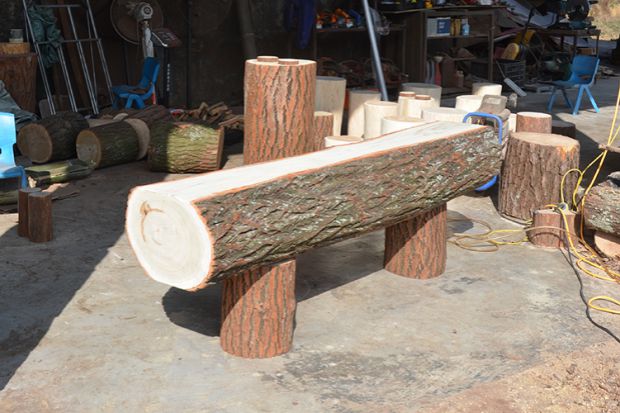 Cọc gỗ gốc gỗ khúc gỗ rắn phân tròn cơ sở phân rắn gỗ cây trụ rễ gốc cây băng ghế gốc - Các món ăn khao khát gốc bàn ghế gốc cây mít