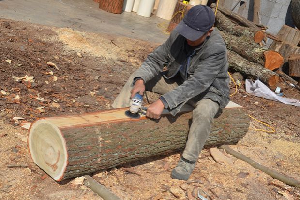 Cọc gỗ gốc gỗ khúc gỗ rắn phân tròn cơ sở phân rắn gỗ cây trụ rễ gốc cây băng ghế gốc - Các món ăn khao khát gốc bàn ghế gốc cây mít