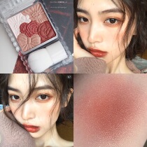 Japanese CANMAKE Peulls Blush High Light 05 10 11 New Color 12 13 Autumn and Winter Limited Day Blush