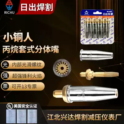 Gas cutting nozzle propane sleeve type cutting nozzle liquefied gas cutting nozzle two-piece stainless steel fittings plum blossom shape G07-30 100