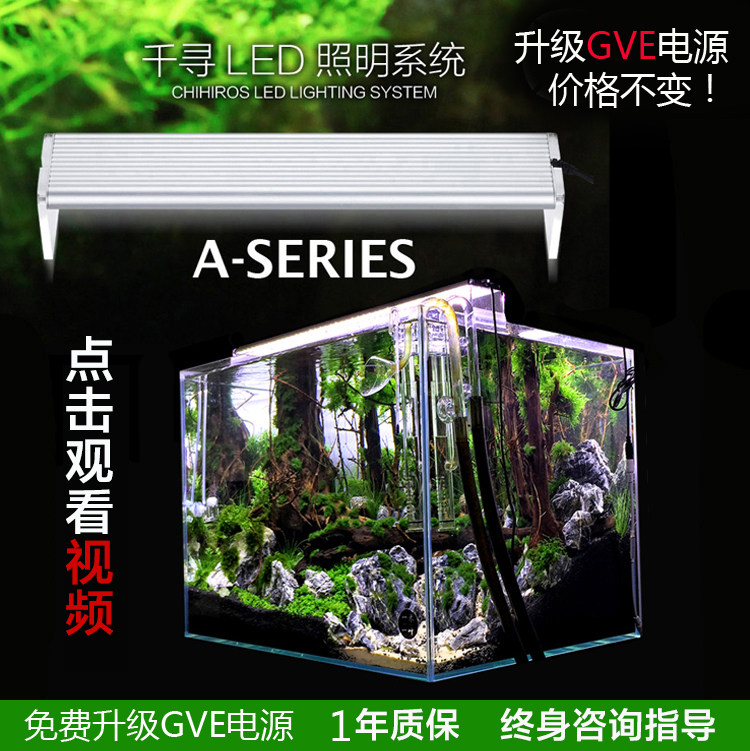 Chihiro LED water plant light Full spectrum water plant light Rain forest tank water and land tank fleshy bracket light