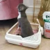 Góc mèo xả rác mèo mèo nhà vệ sinh mở dễ dàng để làm sạch mèo trẻ mèo trưởng thành phổ quát - Cat / Dog Beauty & Cleaning Supplies