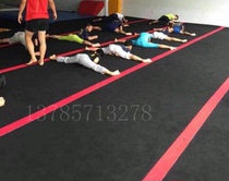 Professional Flexo Rolls Mat Taekwondo Scattered Pads Battled For A Special Ground Mat Tailored Logos