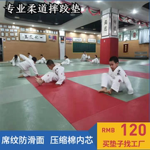  Judo competition training mat Professional thickened non-slip sanda Wrestling Jiu-jitsu fighting export tatami judo mat