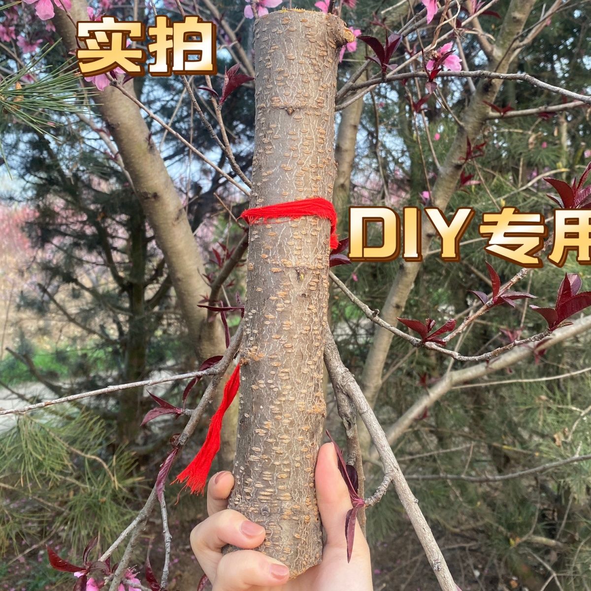 Peach hairpin peach stick wild old peach tree peach branch peach branch peach blossom branch authentic peach log carving