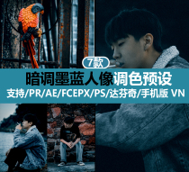 Recommended preset atrial ink blue toning portrait scenery PR PS LR FCPX da Vinci AE VN LUT