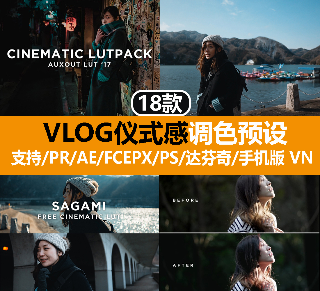 Recommended 18 Daily VLOG Sensation Film Toning Filters PR PS VN FCPX da Vinci AE LUTS