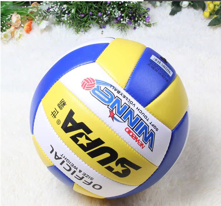 Ballon de volley - Ref 2010224 Image 27