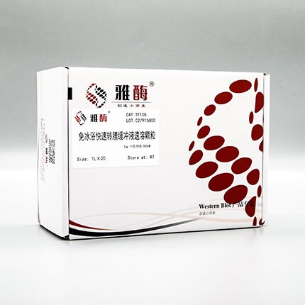 雅酶 免冰浴快速转膜缓冲液速溶颗粒(湿转法) TF105 1L&times;20