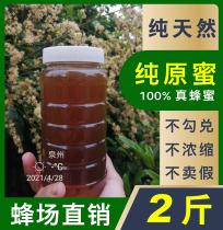 Authentic earth honey 100%pure natural Longan nectar Farm-produced mountain honey raw honey