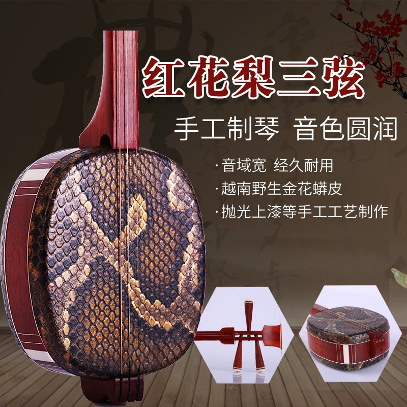 Redwood Erhu Nhạc cụ phương Tây Gỗ hồng mộc Redwood Nhỏ Ba dây Erhu Red Pear Ba dây Redwood Trung bình và nhỏ