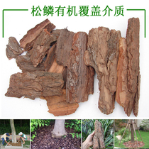 Dream planting Horticulture Fermented pine bark Pine scales Trees Flower beds Soil surface Organic mulch Large cushion material