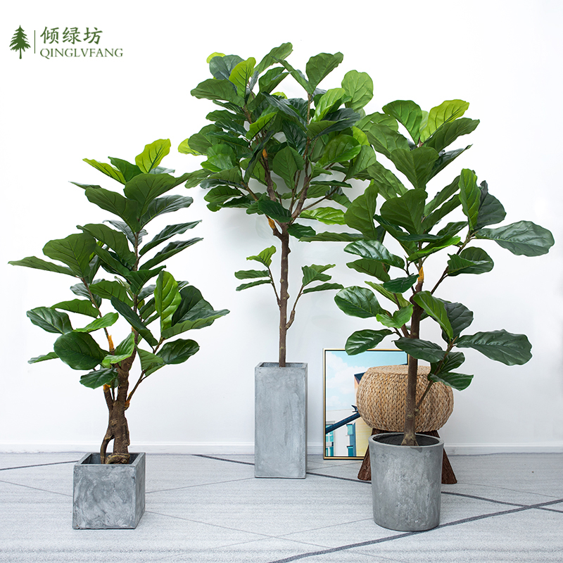 Qin Ye banyan Nordic green plant floor simulation plant turtle back leaf bonsai potted rubber tree shopping mall creative ornaments