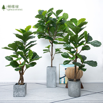 Cen Leaf Banyan Nordic Green Planting Ground Simulation Plant Tortoise Back Leaf Bonsai Potted Rubber Tree Mall Creative Pendulum
