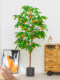 Simulated Green Plant Lemon Tree Potted Fruit Artificial Green Plant Decoration for Living Room Large Indoor Floor-Standing Plant Ornament