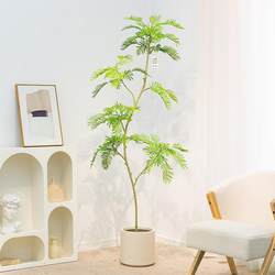 Simulated Bluaranda Green Plants, Classy Accessible Luxury Green Plants, Indoor Living Room Balcony Fake Plants, Bionic Floor-Standing Decorative Bonsai