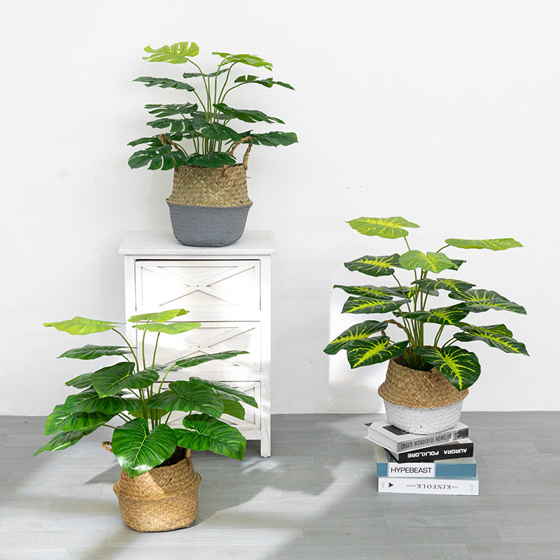 Nordic Living Room Emulation Plant Bonsai Emulation Flower Decoration Fake Flowers Bionic Green Planting Desk Small Potted Plant Pendulum-Taobao