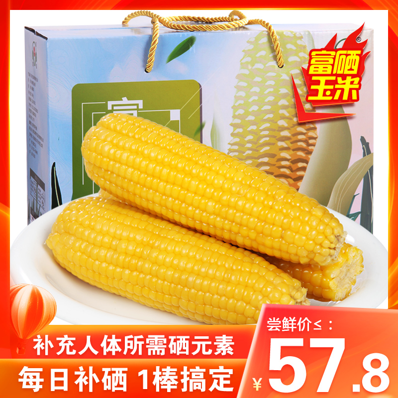 Selenium-enriched corn] Luyin gift box corn sweet fresh glutinous yellow corn cobs sticky vacuum non-GMO freshly picked 8 sticks
