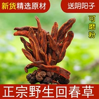 New Goods Wilderness Huna 500G Top Sky Pillar Cao Rong Rongcao Мужские питательные изданные винные лекарственные материалы не старая трава