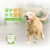 Pet chó nhỏ khớp Kang dog mèo pet chấn thương khớp chống đau thuốc giảm đau sản phẩm chăm sóc sức khỏe teddy tóc vàng chondroitin - Cat / Dog Health bổ sung