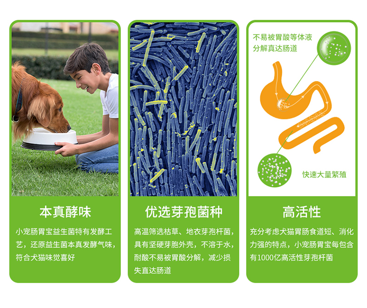 Thú cưng nhỏ tiêu hóa kho báu mèo chó bột sinh học điều hòa tiêu hóa Teddy Golden Retriever đặc biệt nôn vật nuôi dinh dưỡng - Cat / Dog Health bổ sung sữa cho mèo sơ sinh