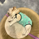 Физиологические штаны для домашних животных Мать Теде Корги Дуйу Дубабе Слуша