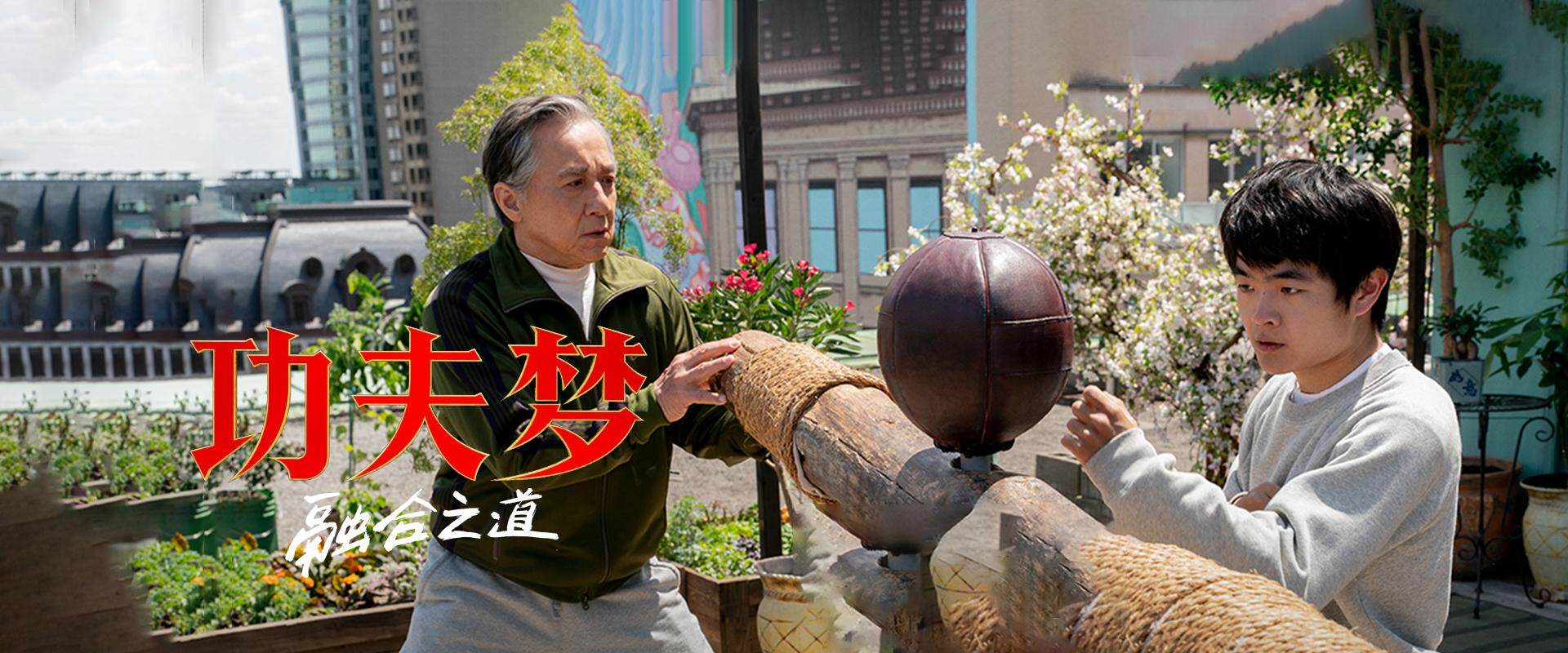 功夫梦：融合之道封面图