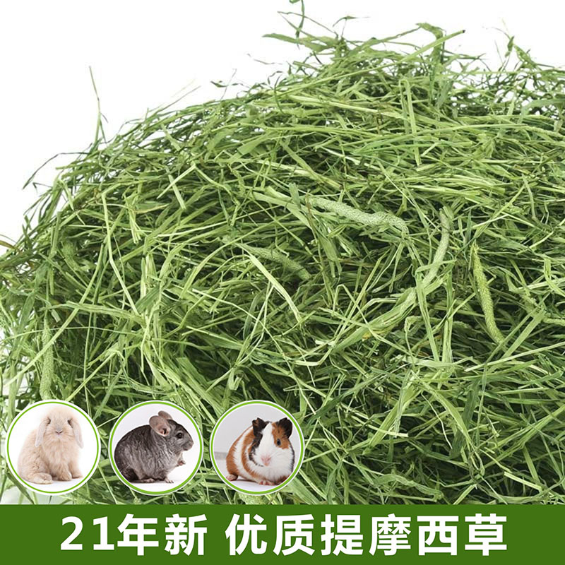 2021 New Timothy grass forage Rabbit hay Rabbit food Chinchilla food Guinea pig Dutch pig feed hay 500g