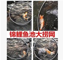 Koi fishnet professional hand-net large fishing net telescopic handle net fishing net fishing net fishing net