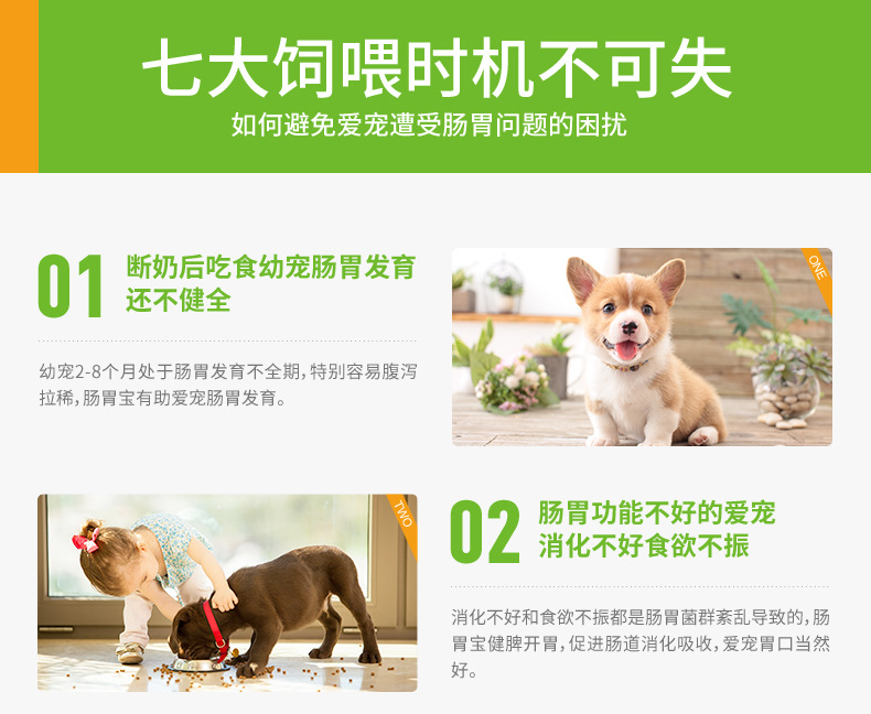 Chó và mèo phổ biến men vi sinh vật nuôi nhỏ dạ dày kho báu 10 gói vật nuôi chó mèo điều hòa tiêu chảy nôn mửa - Cat / Dog Health bổ sung sữa cho chó mang thai
