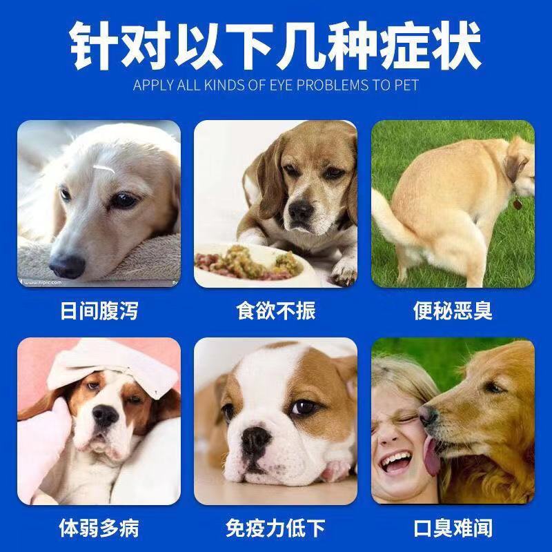 Chó và mèo phổ biến men vi sinh vật nuôi nhỏ dạ dày kho báu 10 gói vật nuôi chó mèo điều hòa tiêu chảy nôn mửa - Cat / Dog Health bổ sung sữa cho chó mang thai