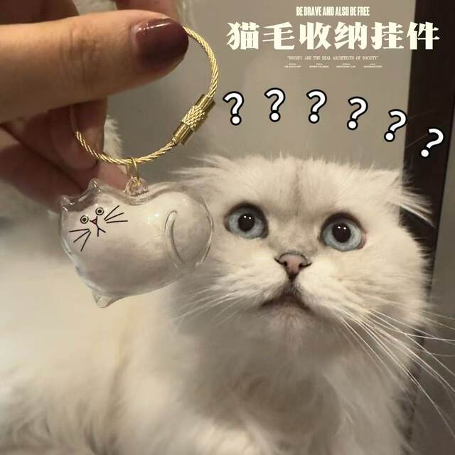 Transparent cat-shaped cat hair storage pendant gag cat hair storage capsules commemorative bag keychain bag pendant