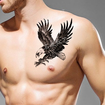 Tattoo patch waterproof male long-lasting flower arm Korean personality domineering Flying Eagle cover scar chest arm Leg simulation tattoo