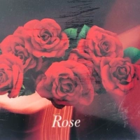 VG50 Грамут роза