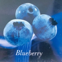 VG50G Blueberry