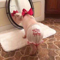 How much is the postage link required?