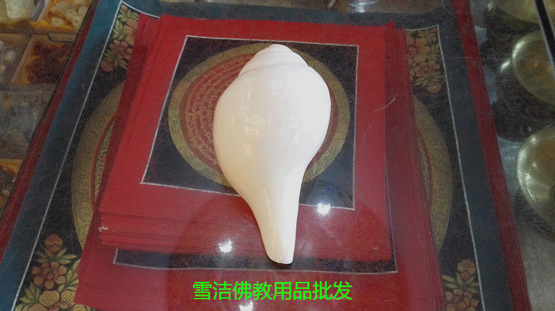 Tibetan Buddhist Dharma Instruments For Snails Imported Indian White Conch Conch Right Spin Can Blow