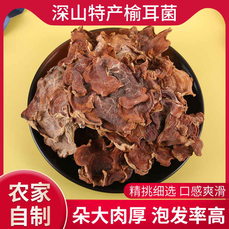 Elm Ear Fungus Dry Goods 500g Premium First Stubble Golden Pleurotus Elm Mushroom Vegetarian Wild Ganoderma Mushroom - Taobao