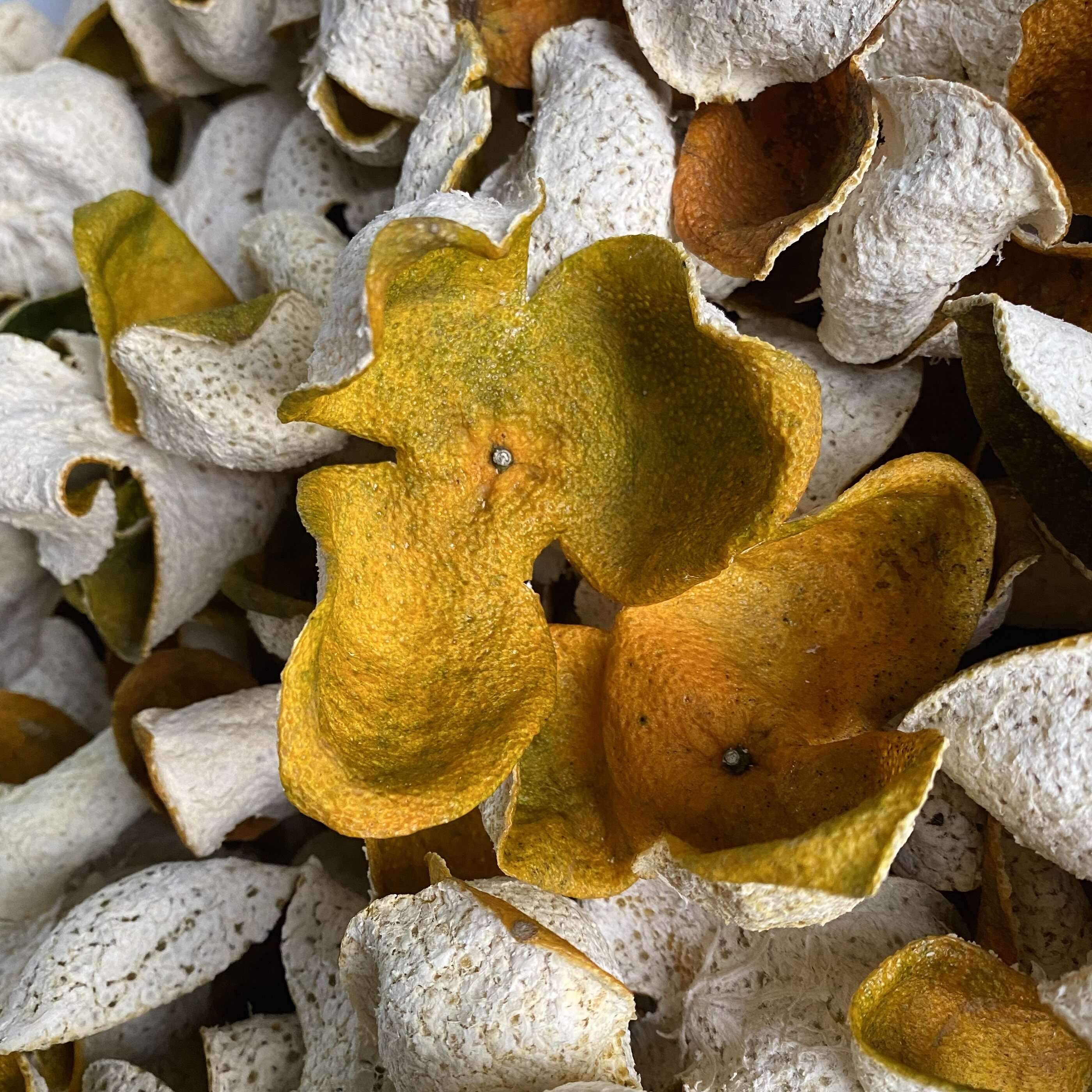 The Dingxiong manufacturer direct sales 2021 New will Meijiang ring branches Dongchia original branches Great red leather 10 years trunk Trunk Barn