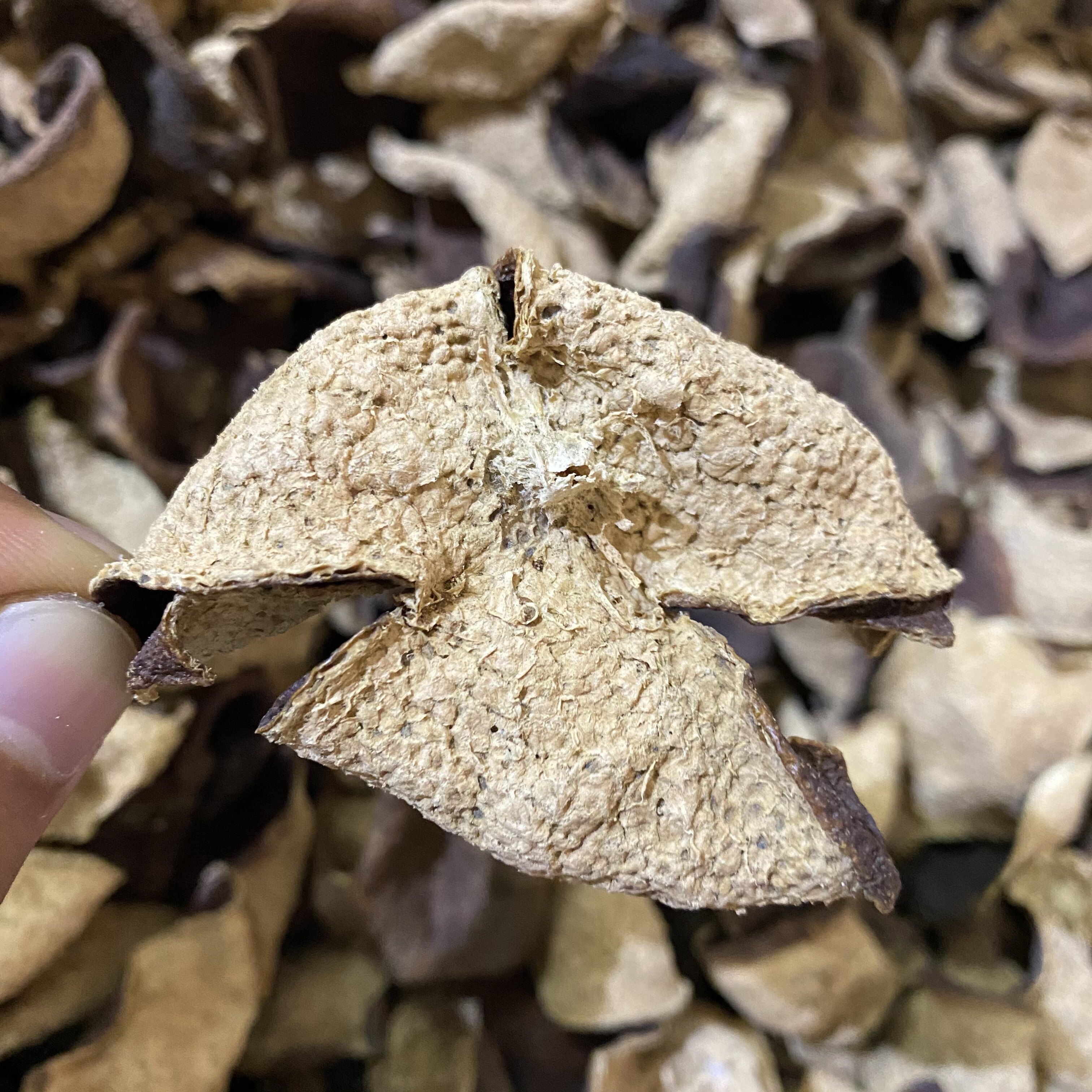 In 2008, the Mentor Xinhua Meijiang Circle Meijiang Circle Branch 100g 200g Collection